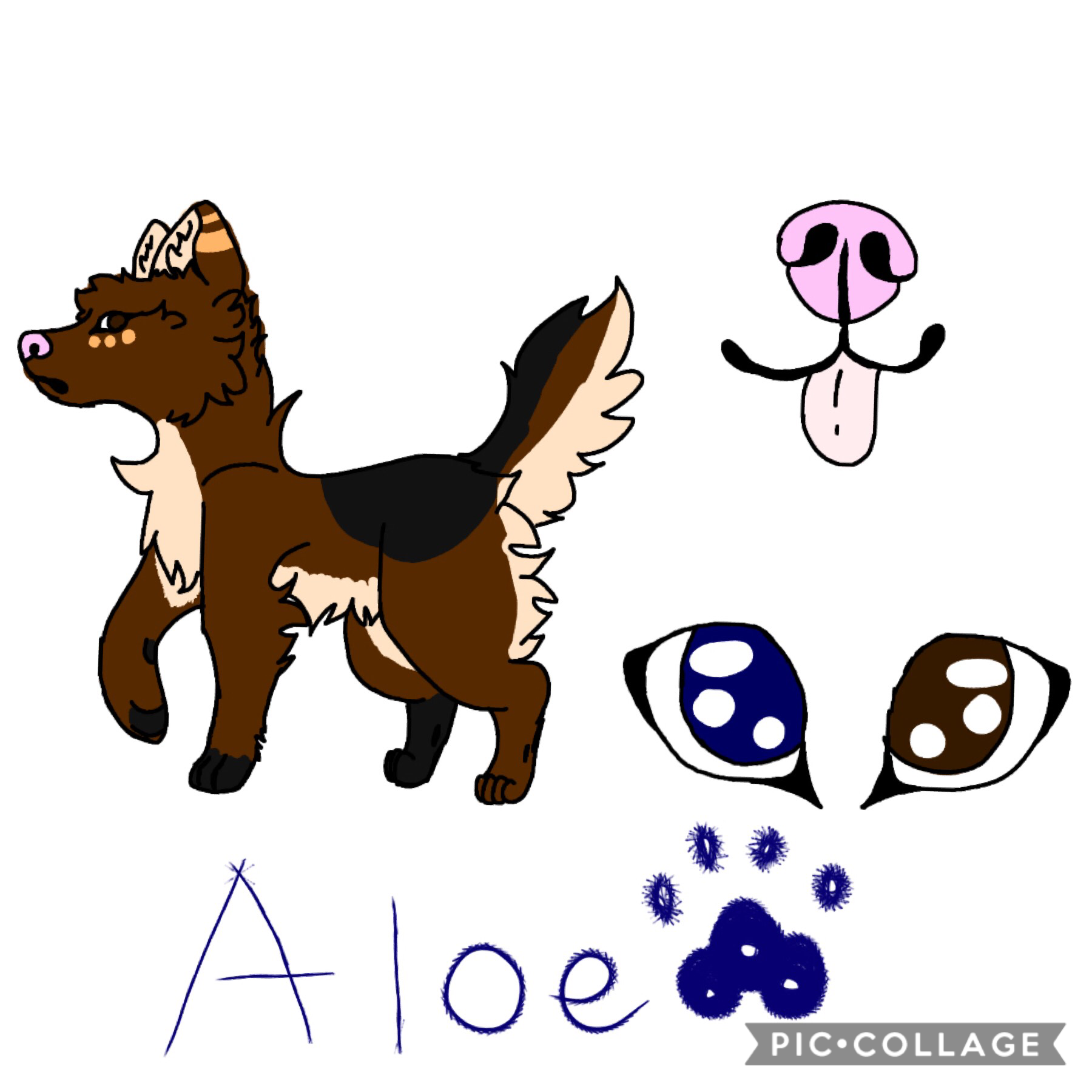 🐾Aloe is Kaiia and Asher's son I mean my oc Asher not my cat🐾