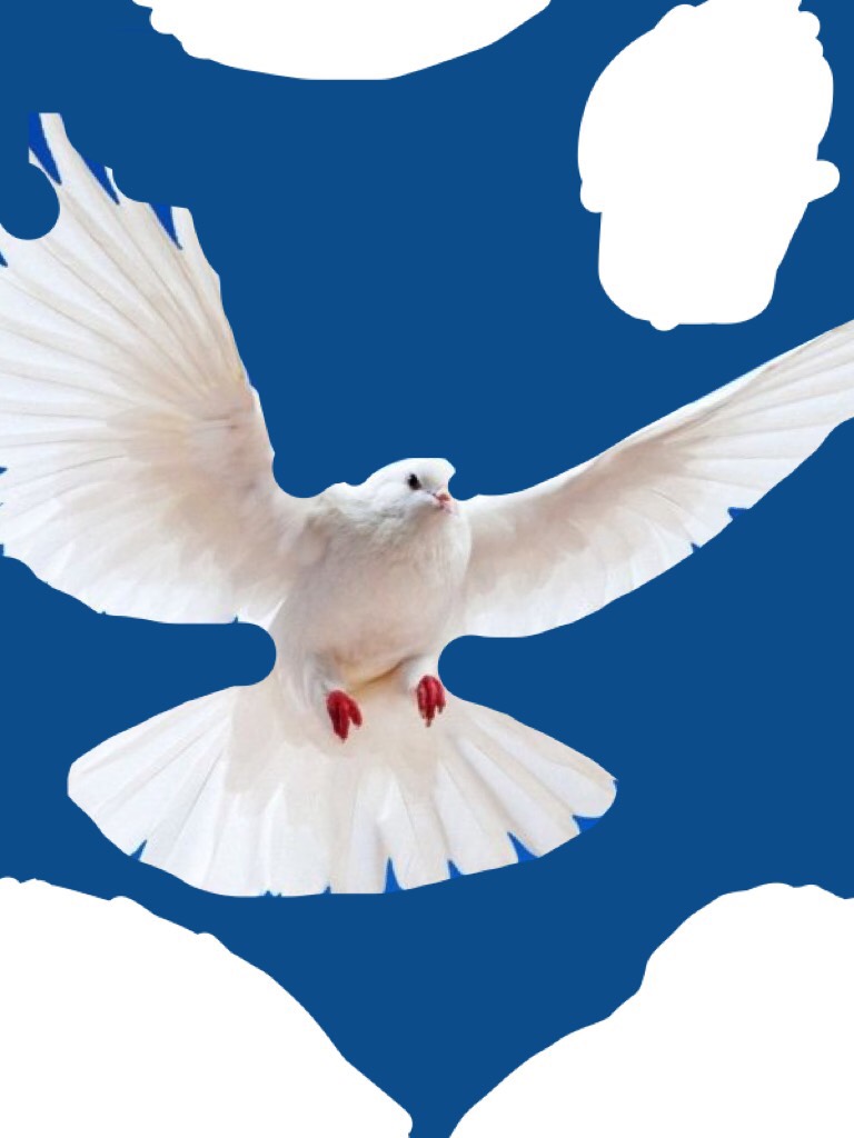 Have an amazing Dove day of Christmas