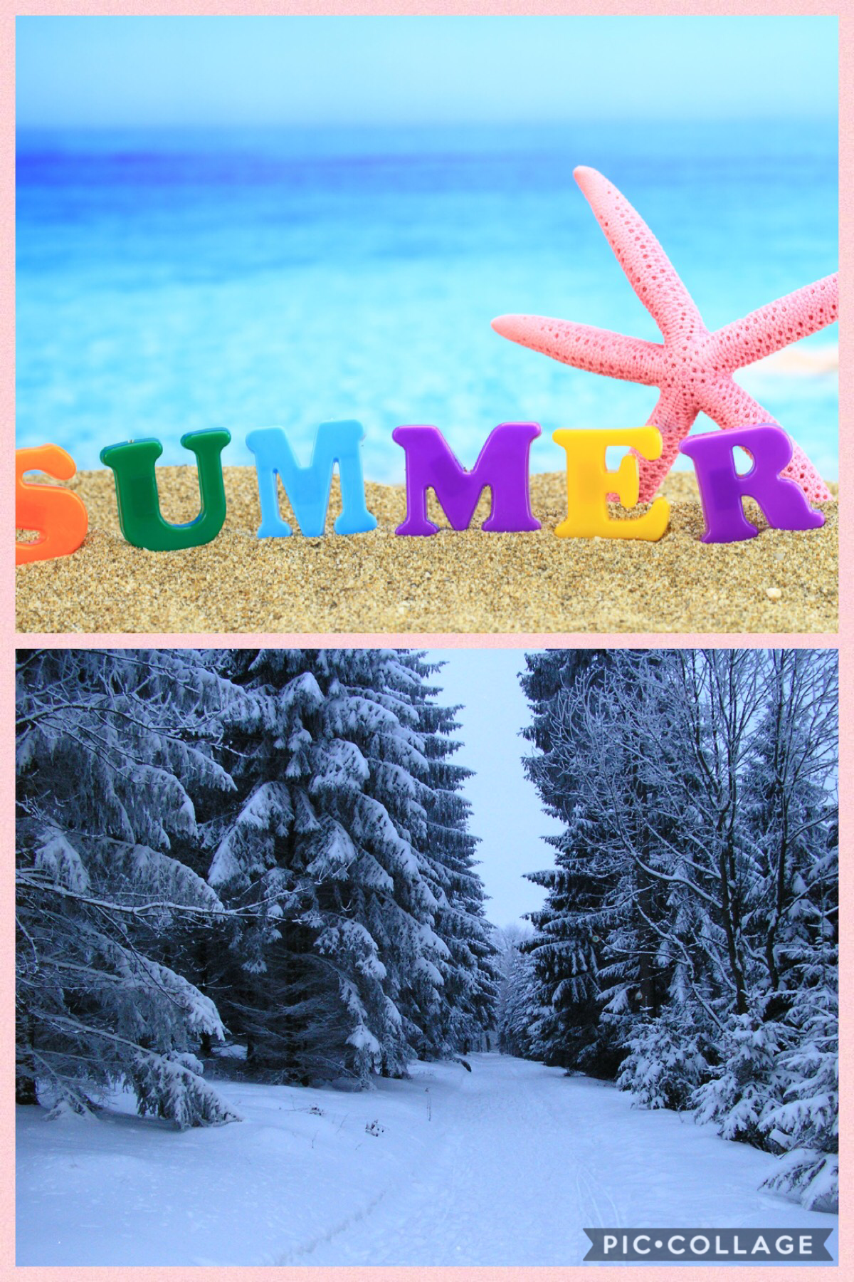 SUMMER OR WINTER?