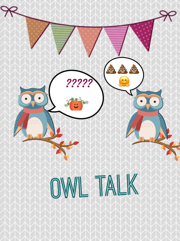 Owl talk 
