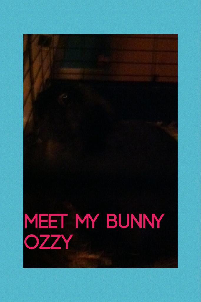 Meet my bunny ozzy
He's so adorable
