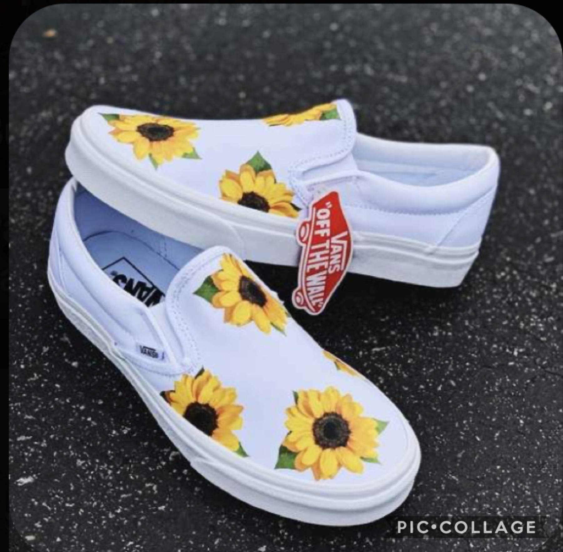 Sunflower Vans
2-23-20