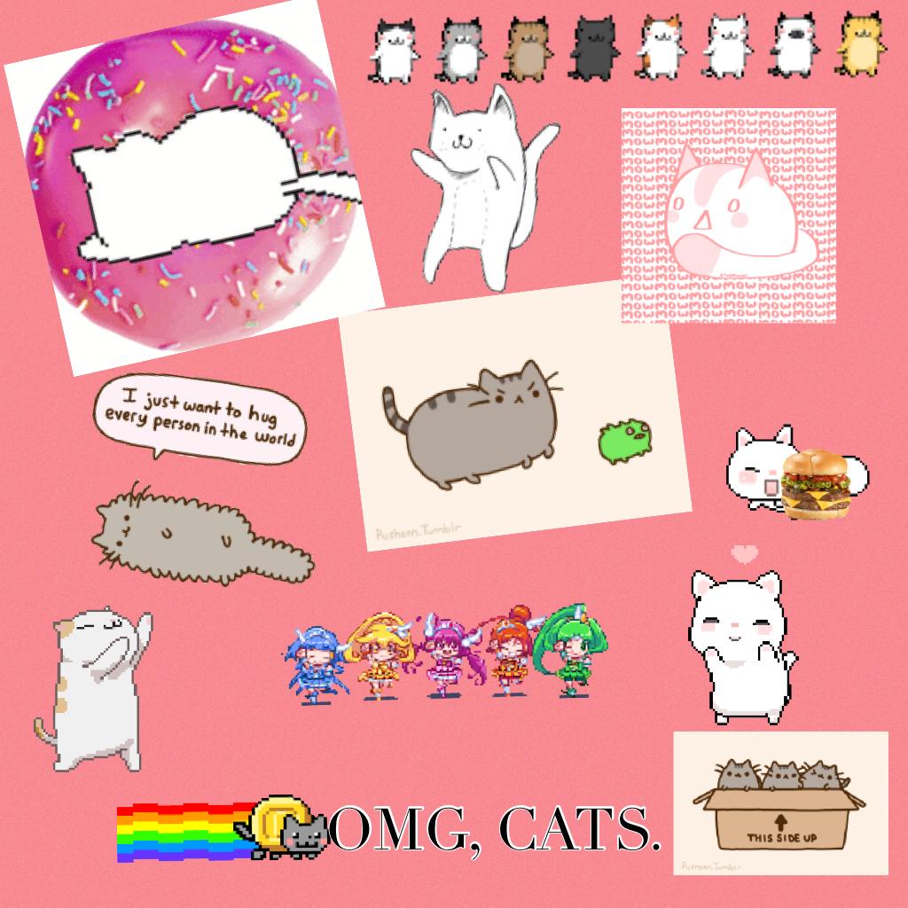 Me ♡ cats. 

:33333