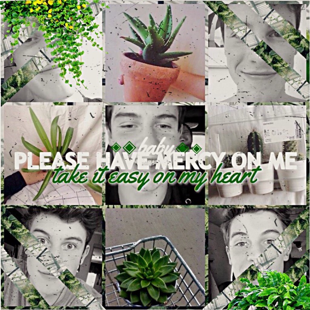 🌴💚Tap here💚🌴
I LOVEEE THIS STYLEE😍😍✨
I will post my new edit when this one gets 50+ likes🙏
I will also spam the 50 first people who like this😌
#MendesArmy #Mercy #ShawnMendes