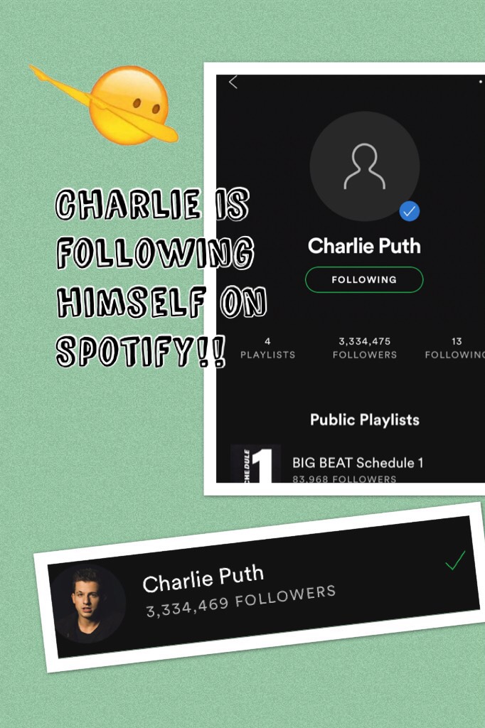 Charlie is following himself on Spotify!! 
