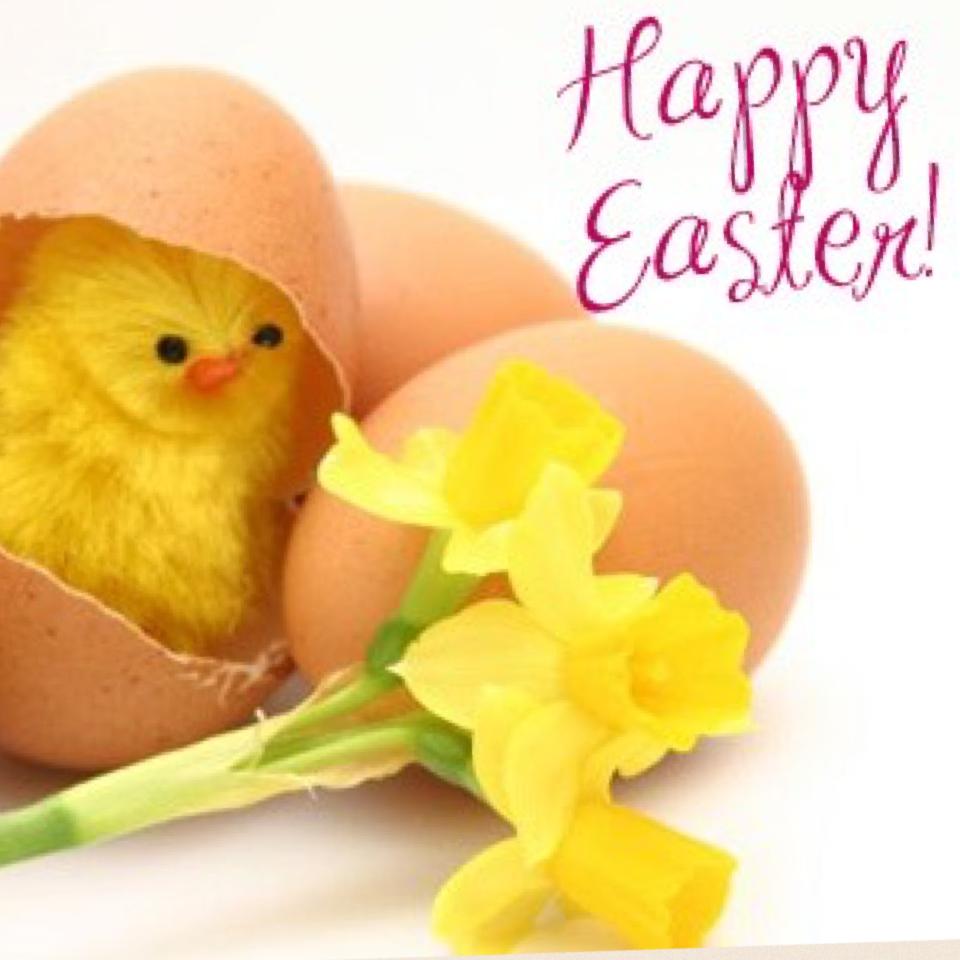 Happy Easter everyone 
