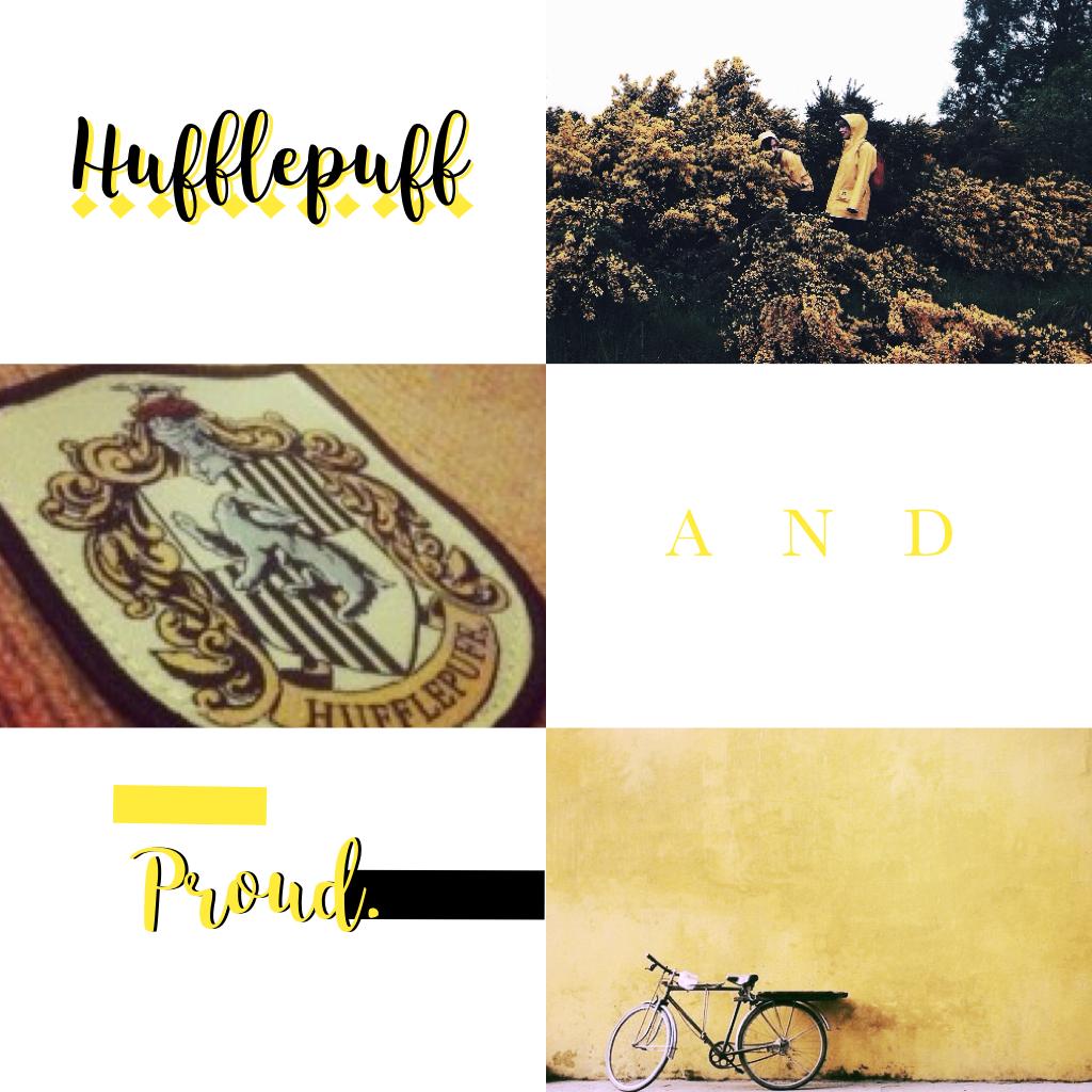 Tell me what you think about this ✨🌞🌼 HUFFLEPUFF IS AMAZING! Probably the most overlooked house! Send love to hufflepuff! 💛💛💛