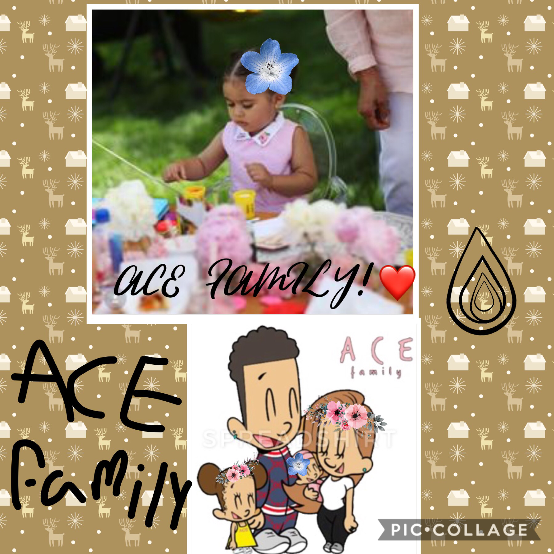 ACE FAMILY 