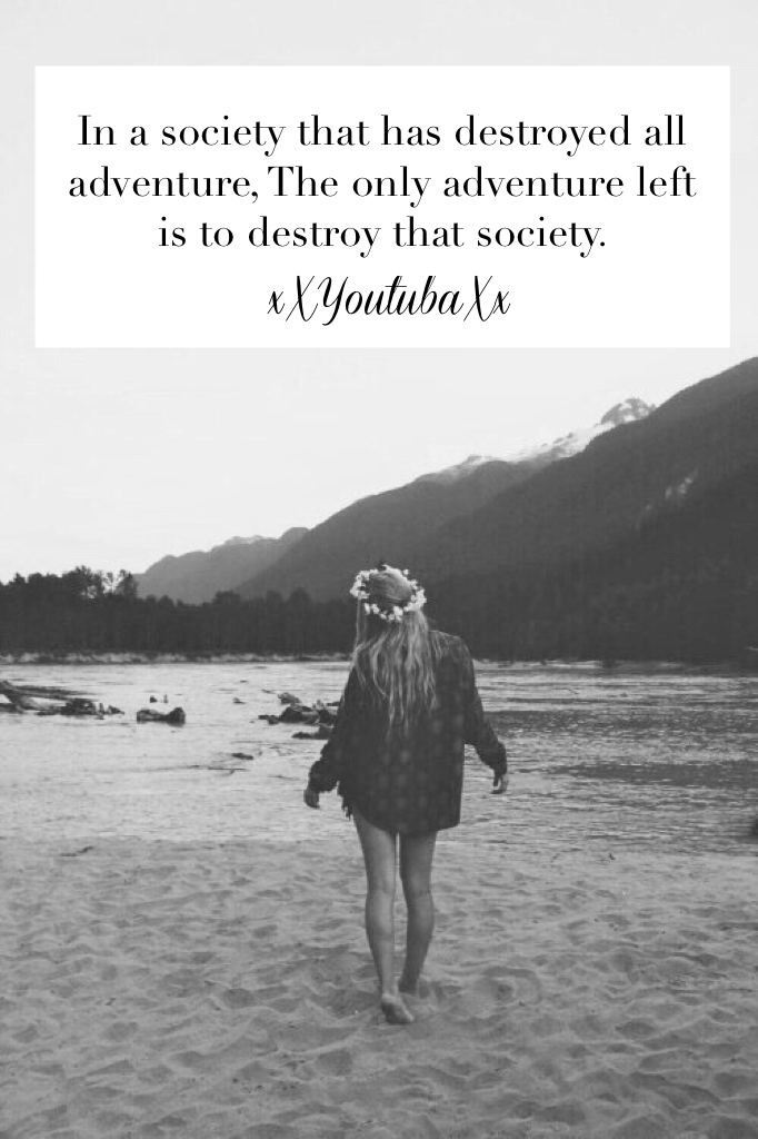 In a society that has destroyed all adventure, The only adventure left is to destroy that society. 