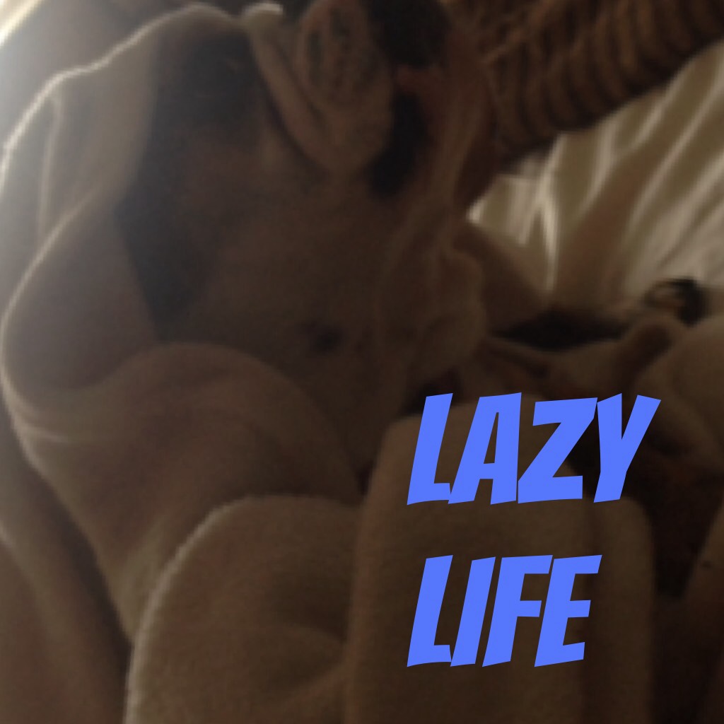 Lazy life