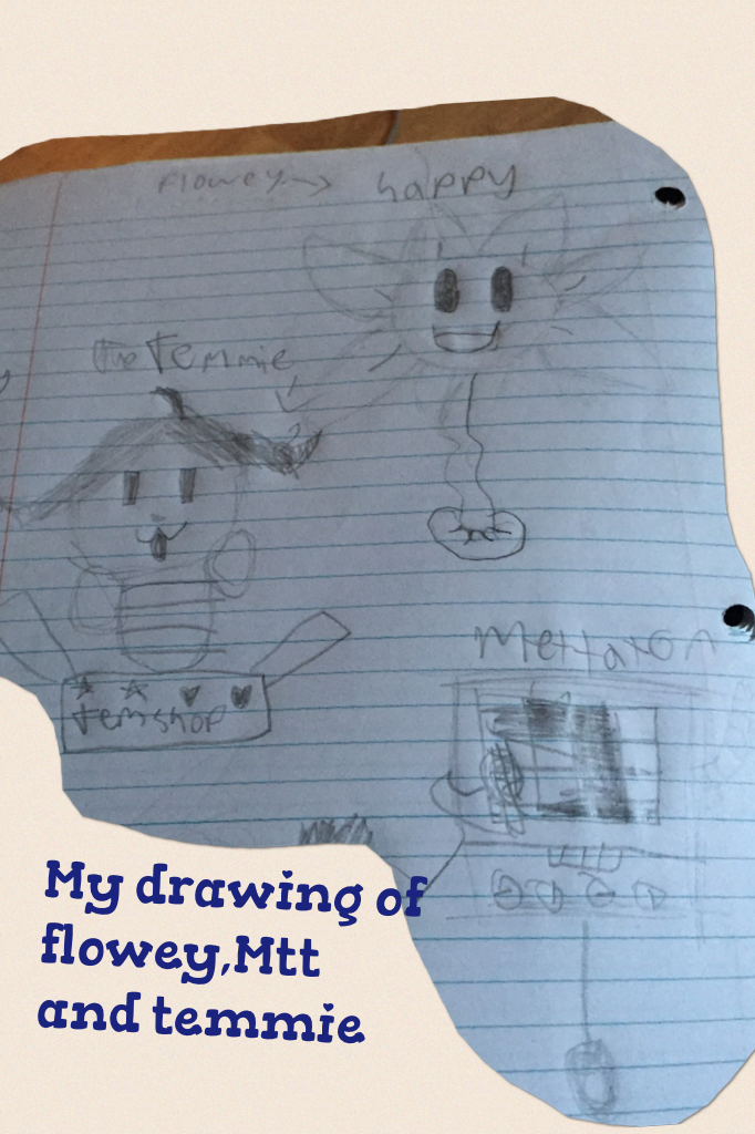 My drawing of flowey,Mtt and temmie