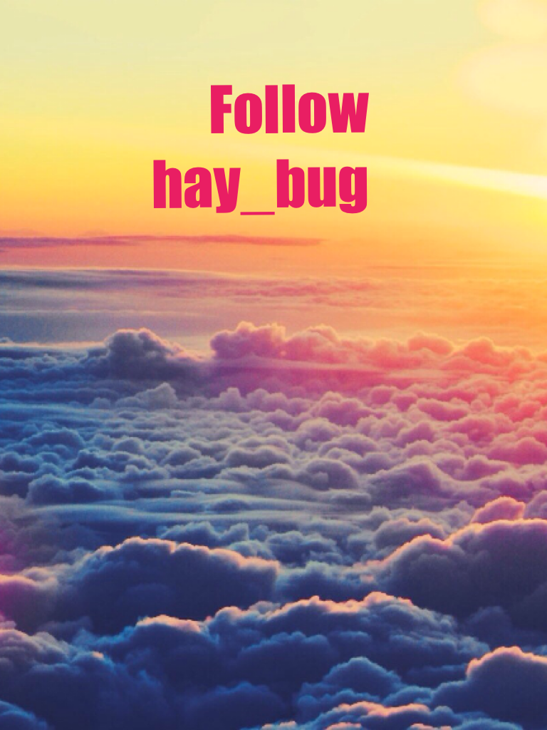 Follow hay_bug