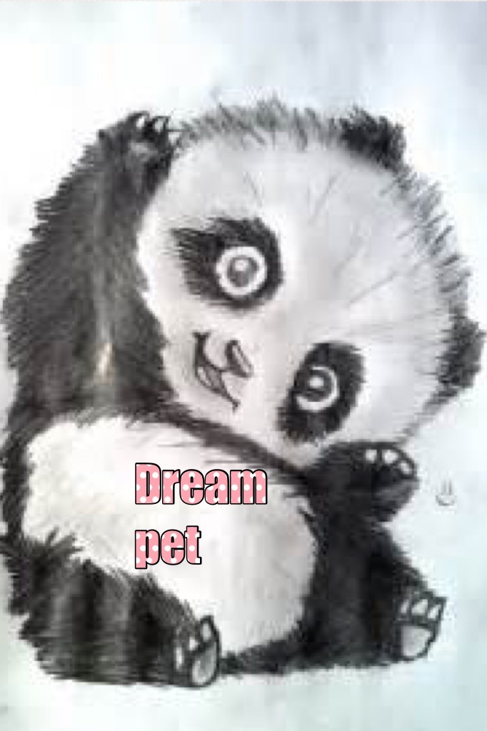 Dream pet