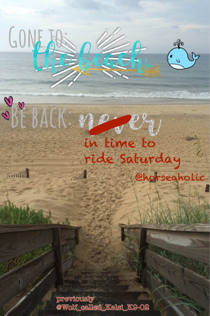 🦄👉Tap👈🦄
Gone to: the beach
Be back: never (crossed out) in time to ride Saturday 💙🐴
Warning: currently mass unfollowing inactives
News: username changed from @Wolf_called_Kelsi_K9-02 to @horseaholic 