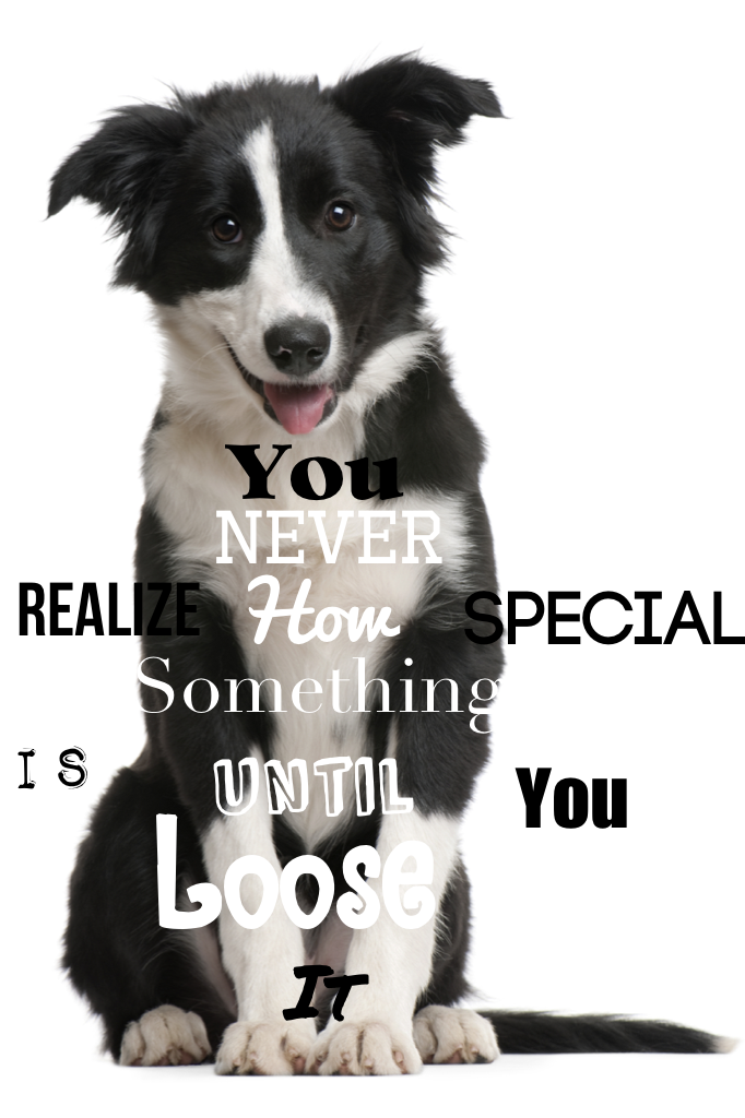 You never realize how special something is until you loose it
