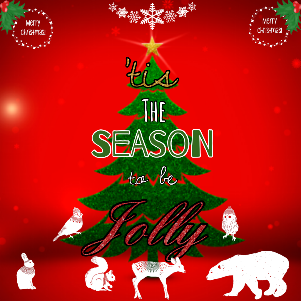 'Tis the season to be jolly.😄 4 days till Christmas!!!😬