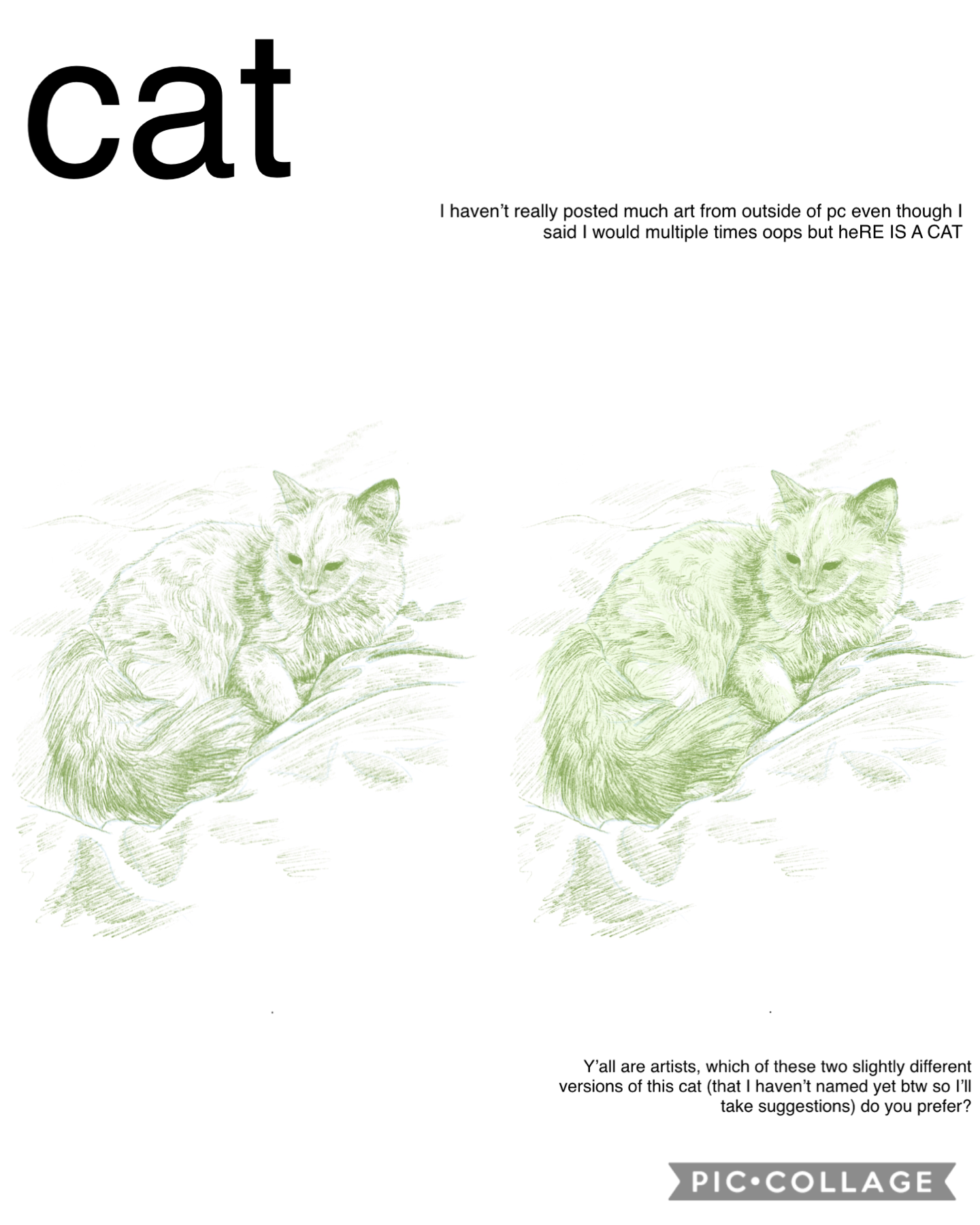 meow meow purr meow (translation: you are beautiful)