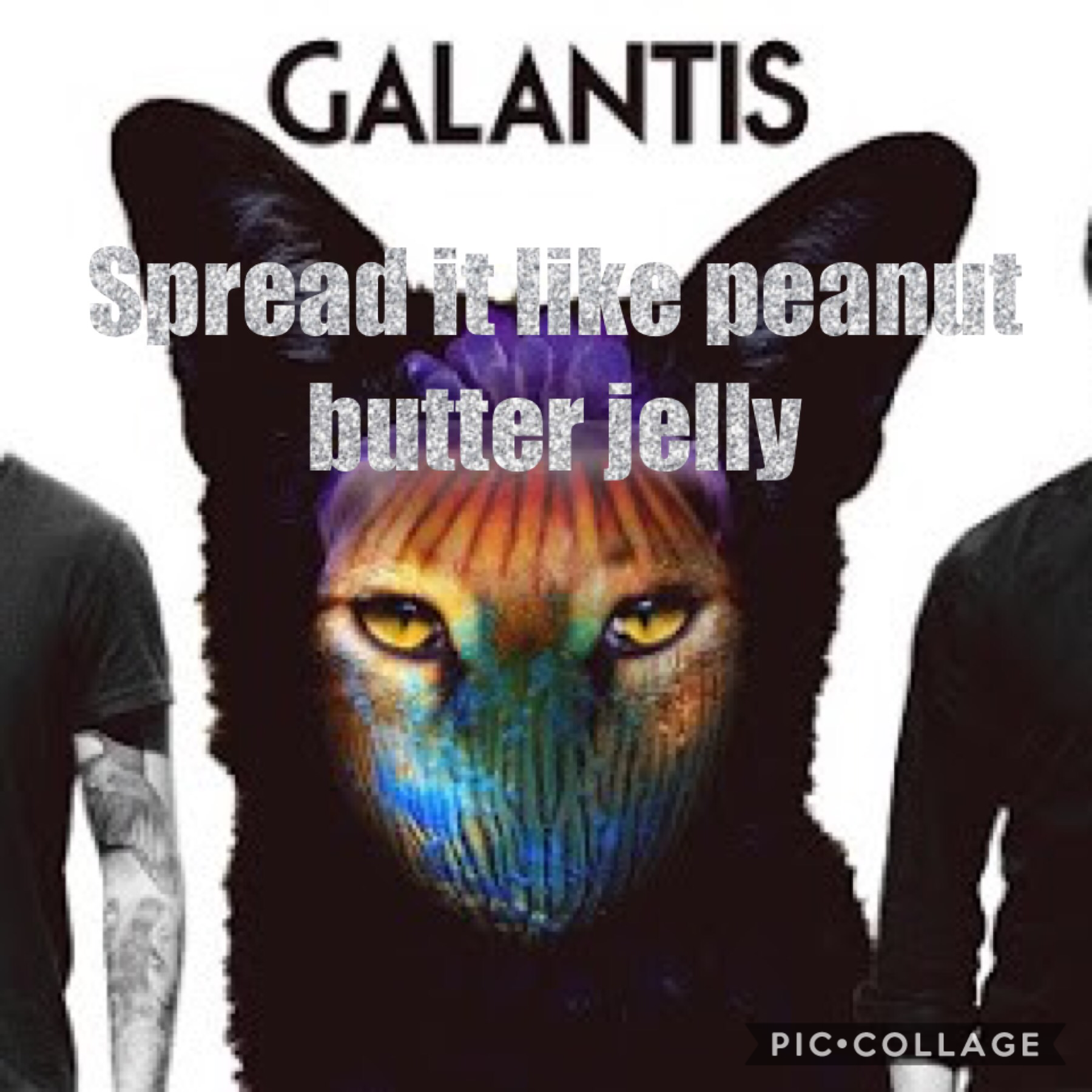 Galantis peanut butter jelly 