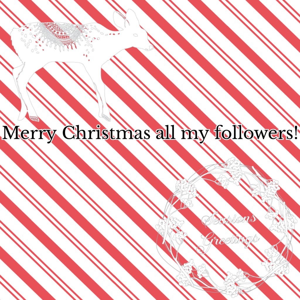 Merry Christmas all my followers!