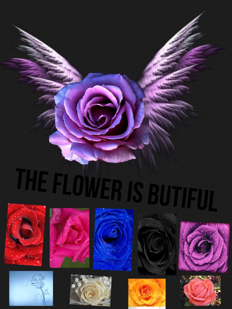 😇❤️💕THE FLOWER'S ARE BEAUTIFUL💕❤️😇