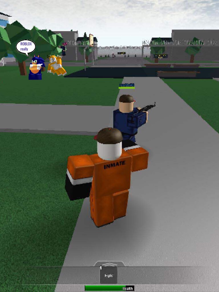 Sonic and tails in roblox