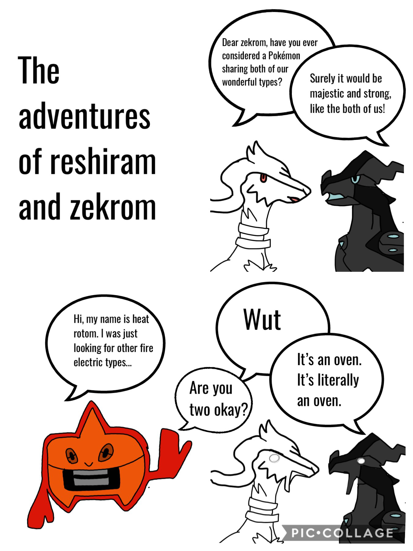 The adventures of reshiram and zekrom