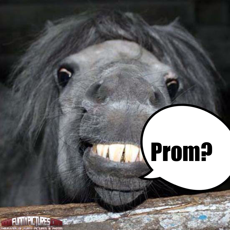 Imagine if this asked you to prom!!!!