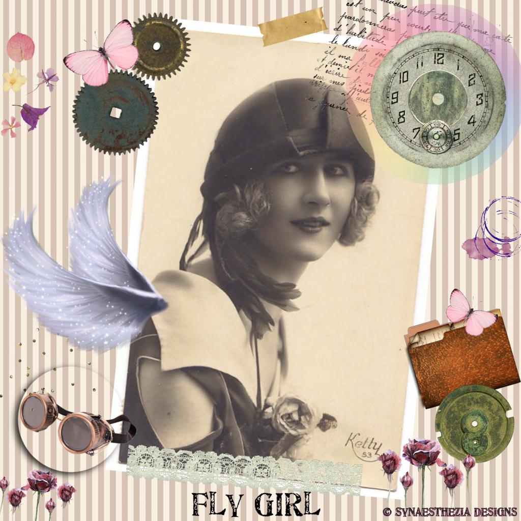 Steampunk Fly Girl