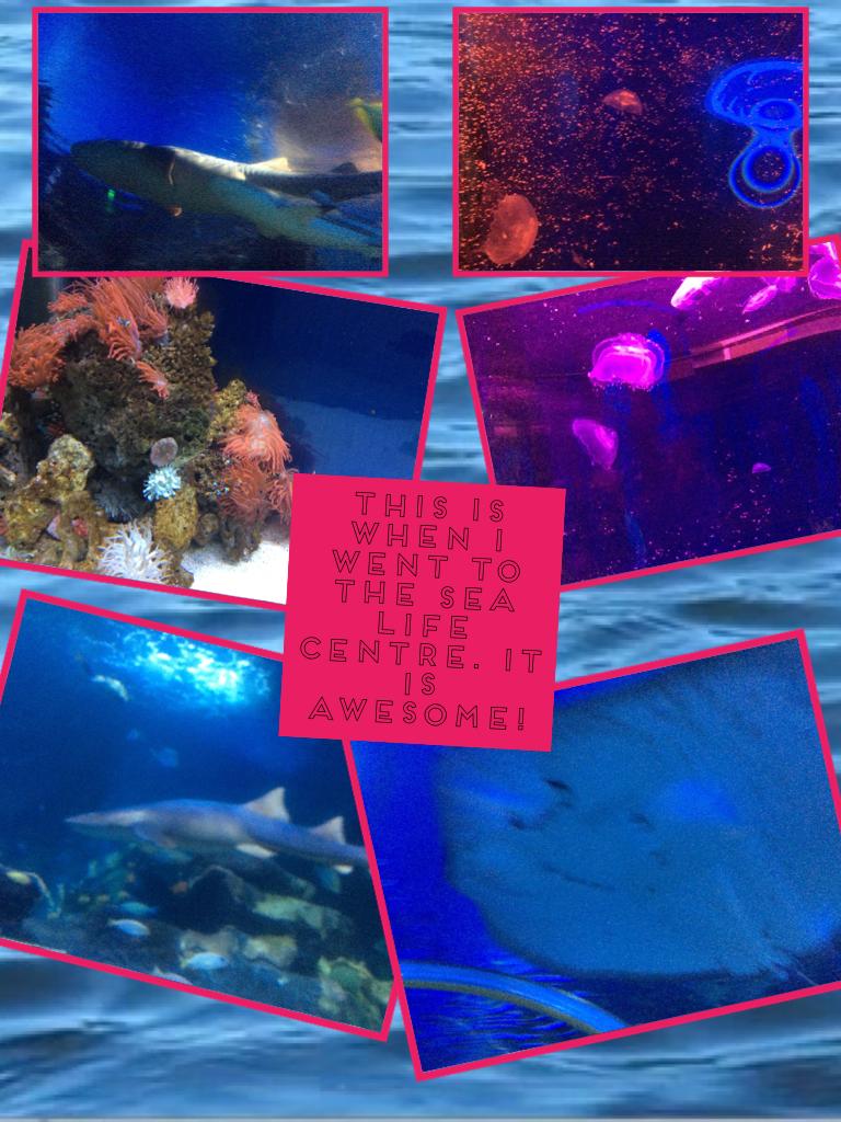 This is when i went to the sea life centre. It is awesome!