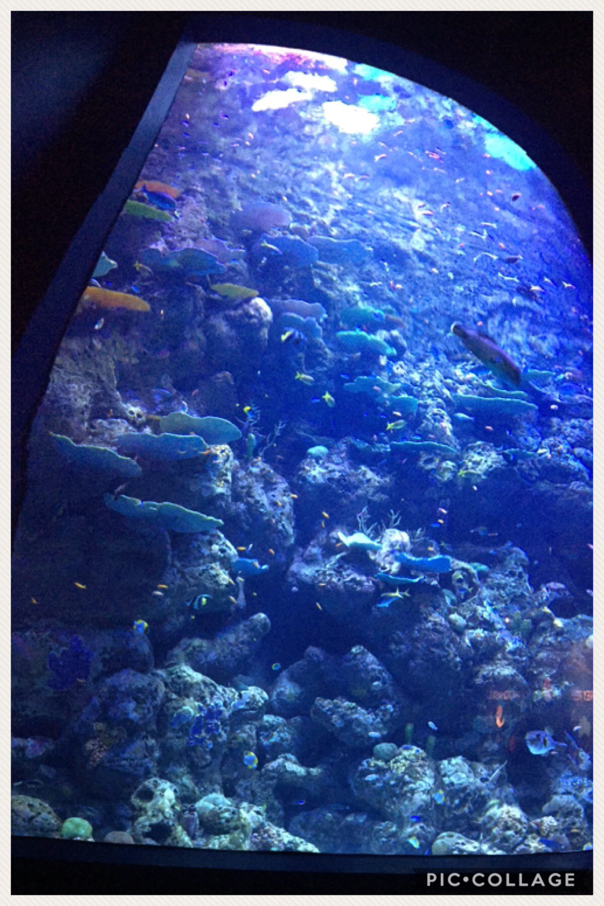 aquarium in Queensland 