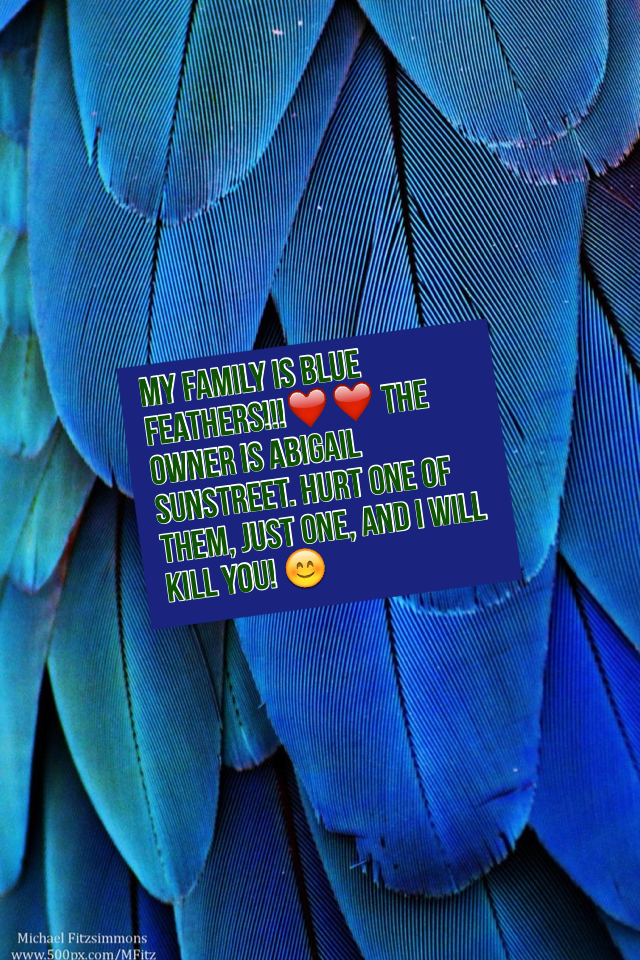 My family is Blue Feathers!!!❤️❤️(On SSO) The owner is Abigail Sunstreet. Hurt one of them, JUST ONE, and I will kill you! 😊