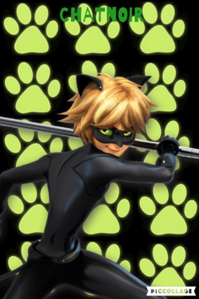 Background of chat noir
