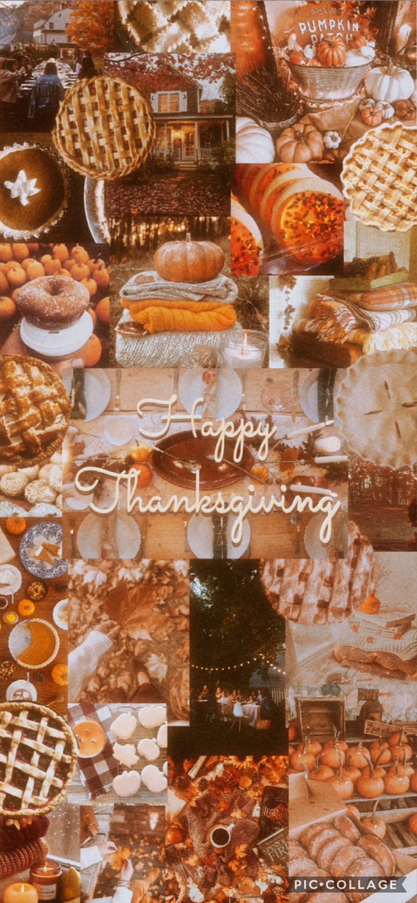 🍂 Happy Thanksgiving 🍽 
I am beyond thankful for all of my followers🥰 you guys have no clue the joy you bring to my life! I hope you all have a wonderful thanksgiving, ily 
xox~ wandering1 