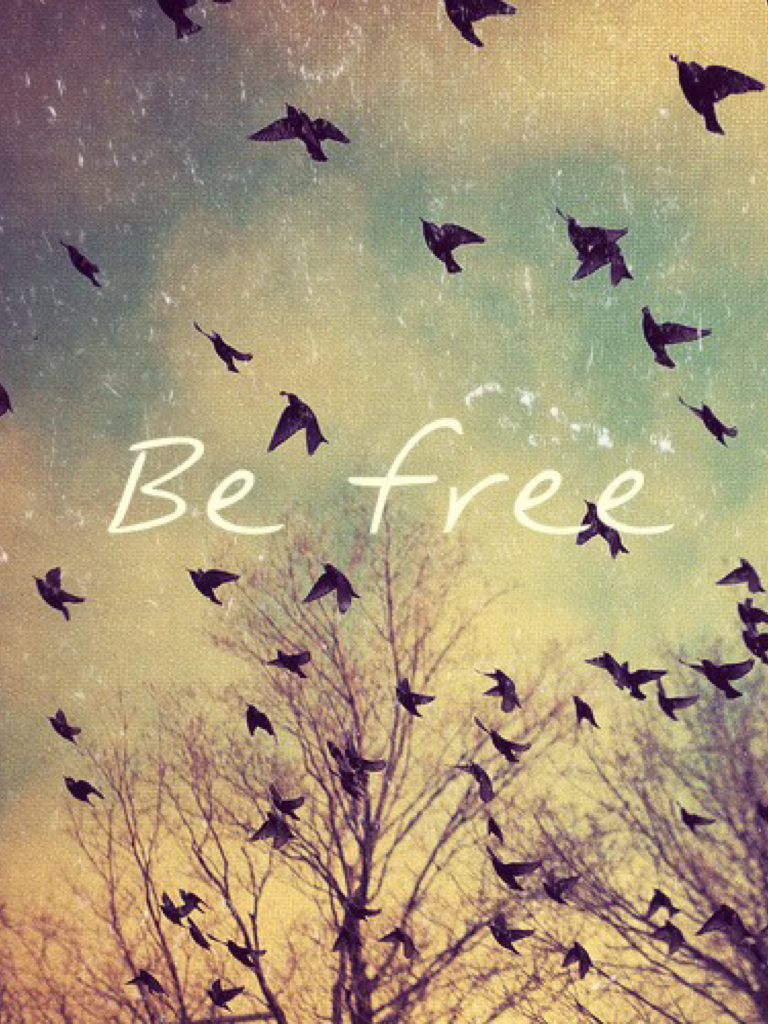 Free as a free bird 🐦 