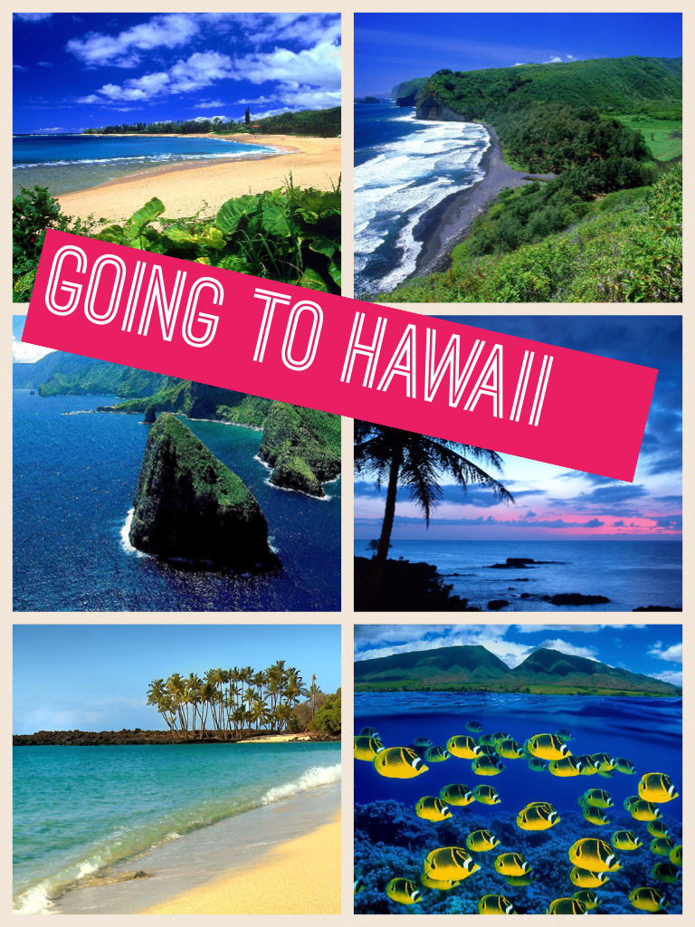 Going to Hawaii 