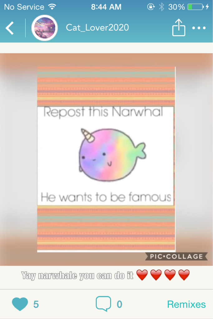 Plz repost this and go follow Cat_lover2020 