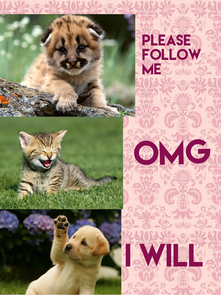 U follow me I will follow you