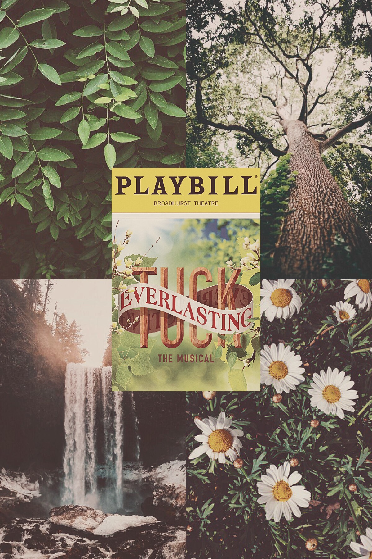 This one is much lesser known but I still love it. Here’s an aesthetic for Tuck Everlasting the Musical!!!