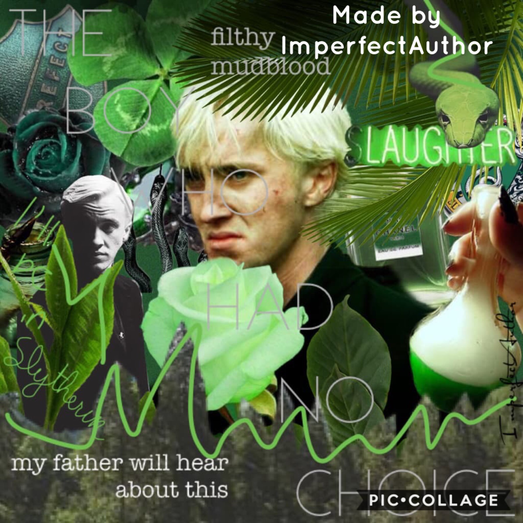 🐍💚Tap💚🐍


This collage is Soooo good!  ImperfectAuthor definitely put a lot of effort into this!  She only has 165 followers, so please help her get some more! 😁