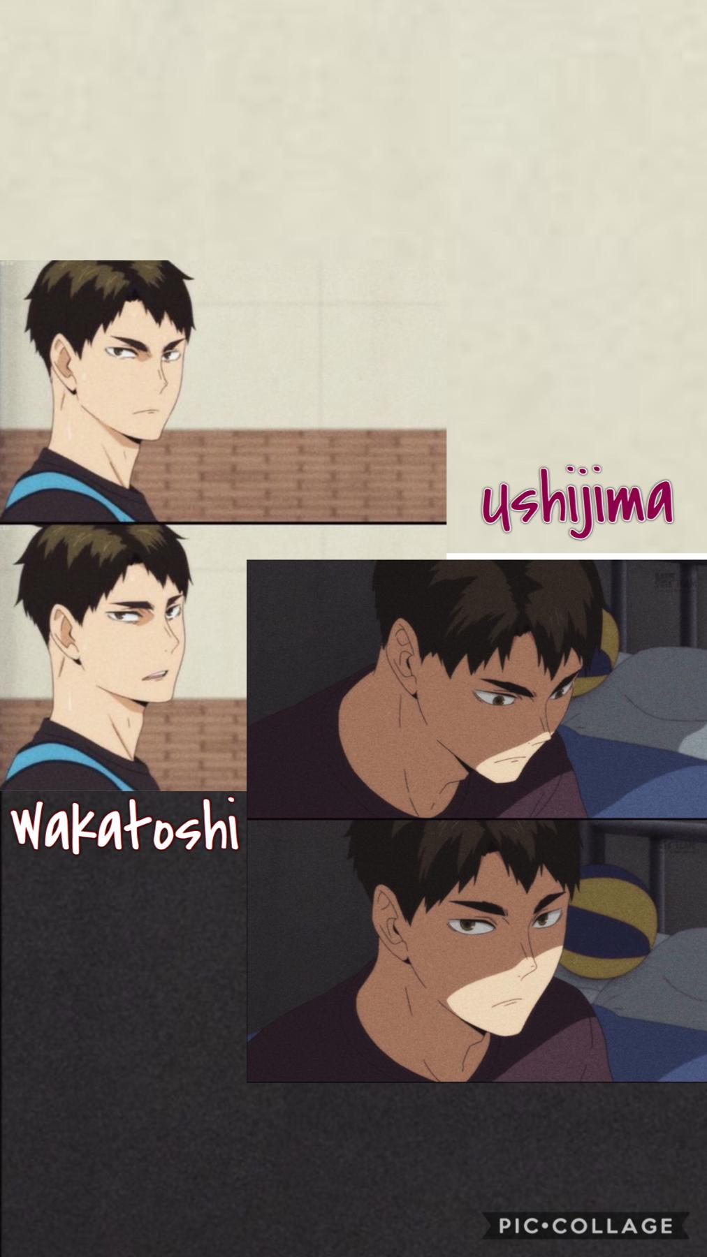 •My 🐝•
Hi it’s been a hot minute since I’ve posted on this account. I’m currently working on an edit for my main but here’s a Ushijima (Haikyuu) wallpaper I made lol.
I literally love him so much oml