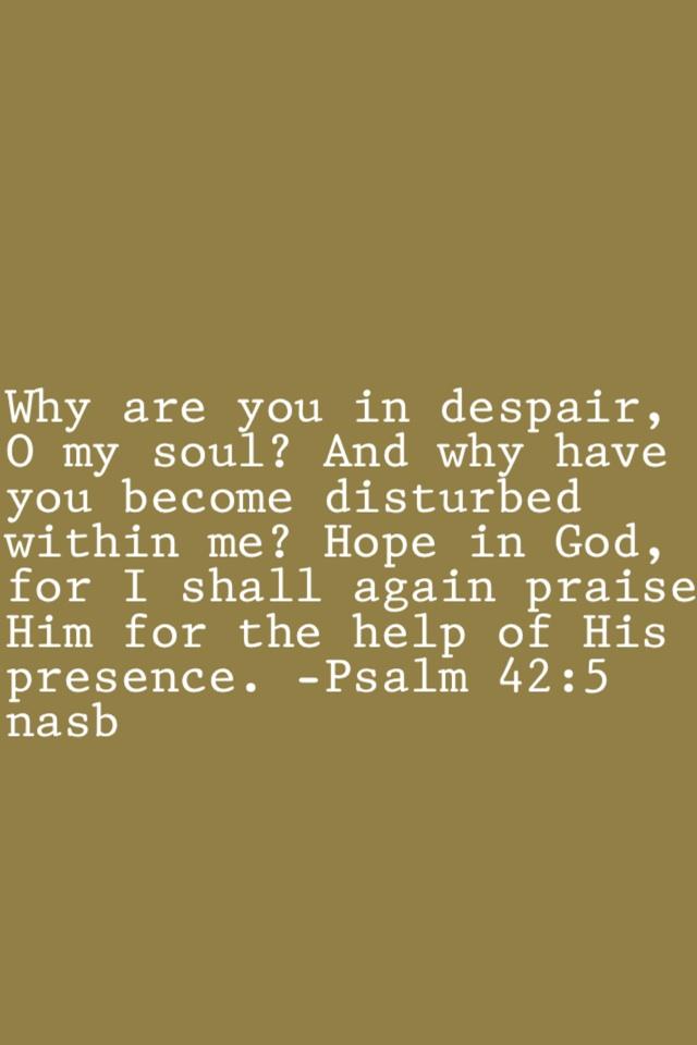 Why are you in despair, O my soul? And why have you become disturbed within me? Hope in God, for I shall again praise Him for the help of His presence. -Psalm 42:5 nasb
