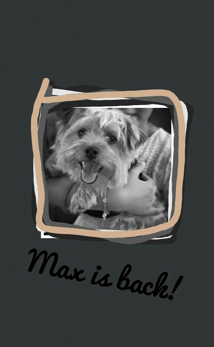 Max is back!We missed him so much!