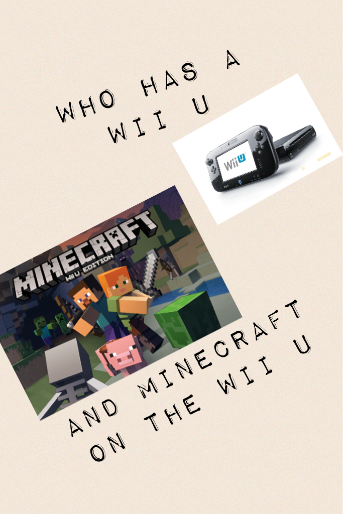 Who has a wii u on minecraft we could play thogheter 