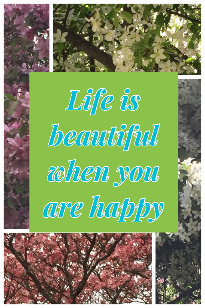 Life is beautiful when you are happy 😊 