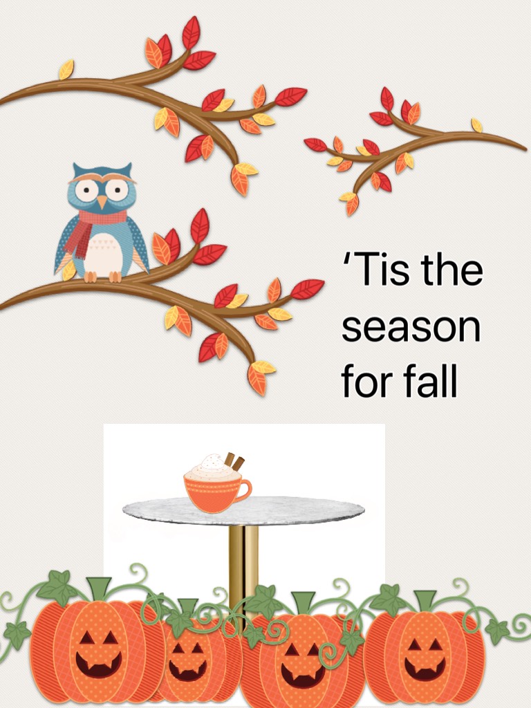 ‘Tis the season for fall