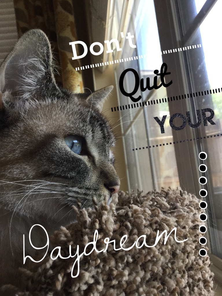 💕Don't quit your daydream 💭 