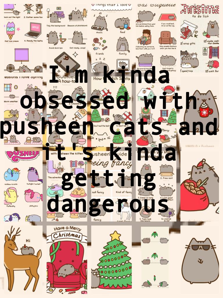 Help me!! The pusheen cats are invading my brain!!