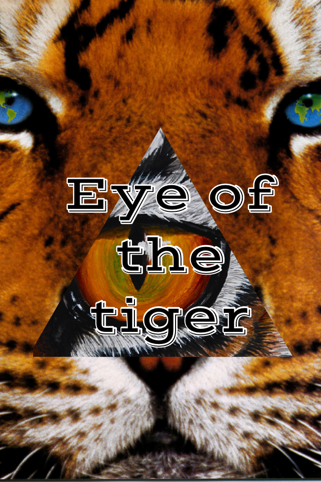 Eye of the tiger
