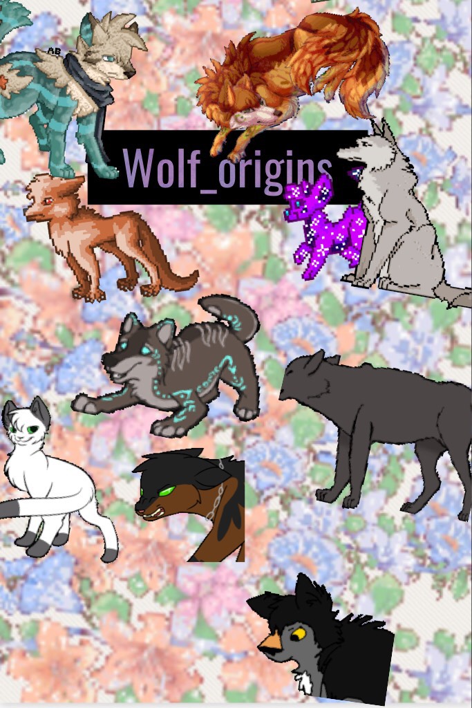 Wolf_origins new name new avatar