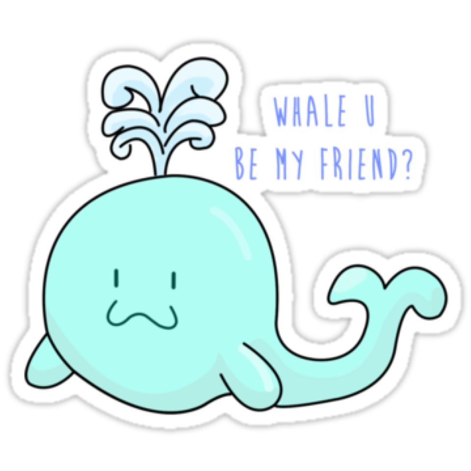Whale u?🐳🐳🐳